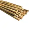 Bamboo Poles